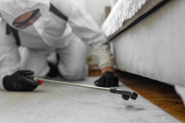 Professional Ant Control technician working in Woodson Terrace, MO